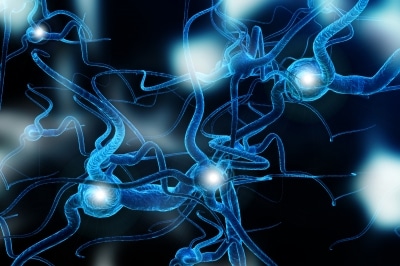 Nerve cells that keep us on our feet